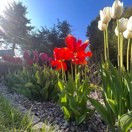 شقة Przytulny Goscinny Lawenda Z Netflixem I Konsola Ps4, Bezplatny Parking