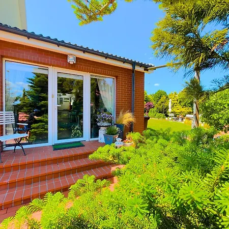 Przytulny Goscinny Lawenda Z Netflixem I Konsola Ps4, Bezplatny Parking Apartment *