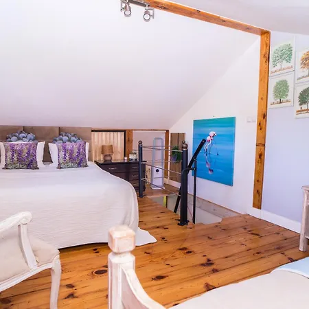 Przytulny Goscinny Lawenda Z Netflixem I Konsola Ps4, Bezplatny Parking شقة