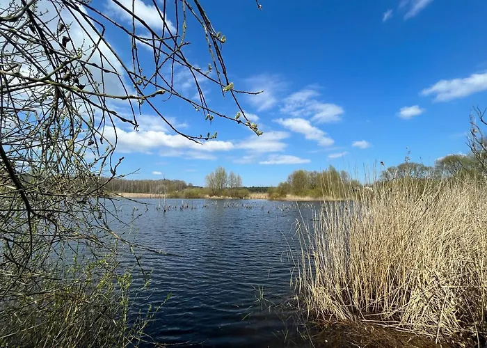 Przytulny Goscinny Lawenda Z Netflixem I Konsola Ps4, Bezplatny Parking Apartment Szczecin