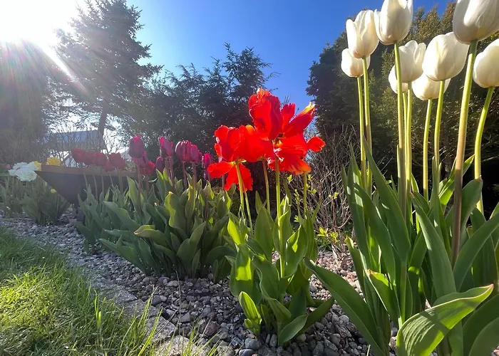 Apartment Przytulny Goscinny Lawenda Z Netflixem I Konsola Ps4, Bezplatny Parking